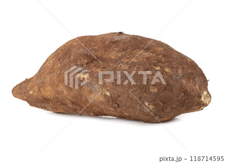 Yacon roots isolated on a white background Yacon roots isolated on a white background 118714595