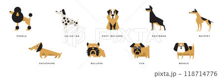 Different Dog Breed Flat Icon and Pictogram with Inscription Vector Set 118714776