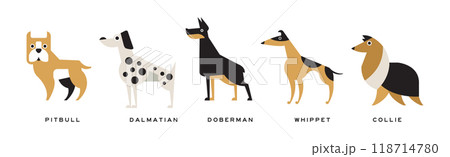 Different Dog Breed Flat Icon and Pictogram with Inscription Vector Set 118714780