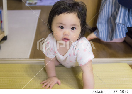 【たたみでハイハイする赤ちゃん】 118715057