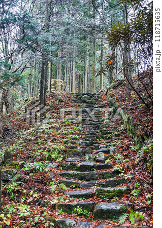 苔むした杉並木が続く榛名神社千本杉（群馬県高崎市） 118715635