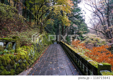 苔むした杉並木が続く榛名神社千本杉（群馬県高崎市） 118715641