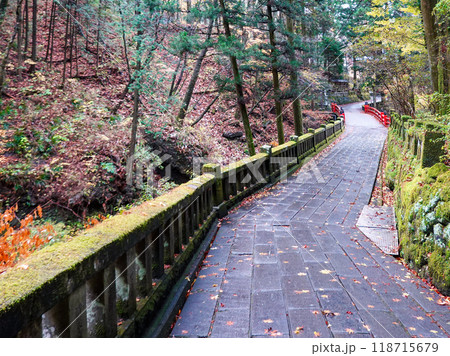 苔むした杉並木が続く榛名神社千本杉（群馬県高崎市） 118715679