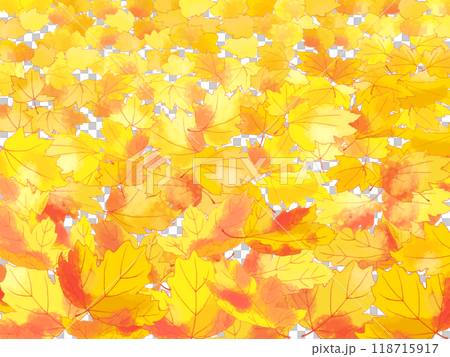 Autumn maple leaves 118715917