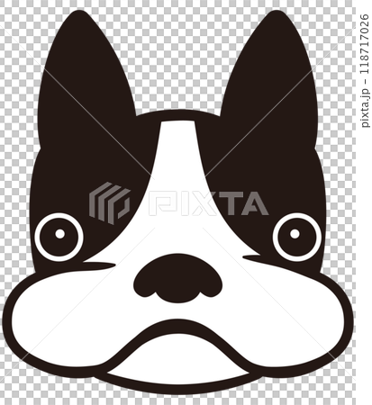 Boston Terrier Boston Terrier 118717026