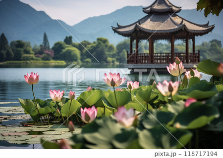 Chinese gazebo in the distance on a lake with blooming pink lotuses, mountains in the background 118717194