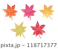 水彩で描いた可愛い紅葉イラスト 118717377