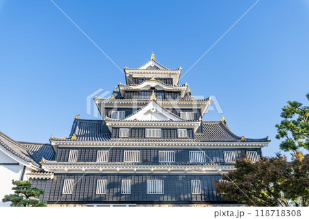 岡山県岡山市　日本100名城　令和の大改修を終えた快晴の岡山城天守 118718308