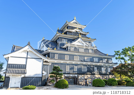 岡山県岡山市　日本100名城　令和の大改修を終えた快晴の岡山城天守 118718312