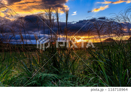 2024年秋すすきが咲き揃った曽爾高原の夕景　日没間近の太陽に淡く照らされるすすきの穂➂ 118718964