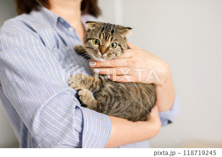 A Scottish cat is lying in a woman's arms. The fluffy pet is nestled comfortably in the arms 118719245
