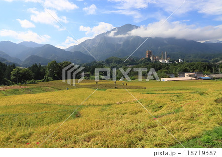 武甲山を背景に豊作の棚田 収穫の秋 秩父の寺坂棚田の風景 武甲山を背景に豊作の棚田 収穫の秋 秩父の寺坂棚田の風景 118719387