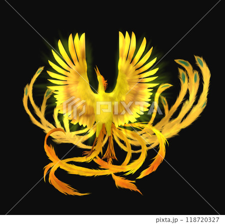 phoenix2 phoenix2 118720327
