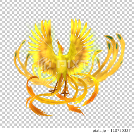 phoenix2 phoenix2 118720327