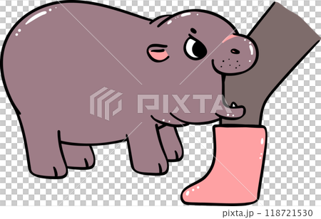 Baby Pygmy Hippo bite leg Cartoon  Playful and Grumpy Doodle Character 118721530