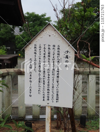 兵庫県加古川市にある刀田山鶴林寺とたさんかくりんじ、聖徳太子開基伝承をもつ寺院、沙羅の木 118721763