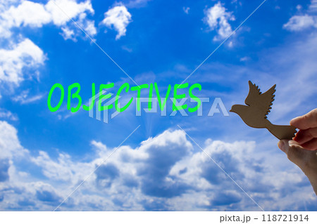 Objectives symbol. Concept word Objectives on beautiful blue sky. Beautiful blue sky and clouds background. Businessman hand with wooden bird. Business objectives concept. Copy space. 118721914