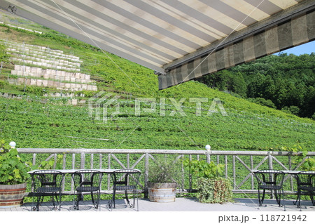 ココファーム ワイナリー ココファーム ワイナリー 118721942