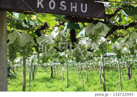 ルミエール　ワイナリー　 118722045