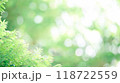 玉ボケ　葉っぱ　ナチュラル　グリーン 118722559