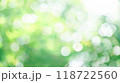 玉ボケ　葉っぱ　ナチュラル　グリーン 118722560