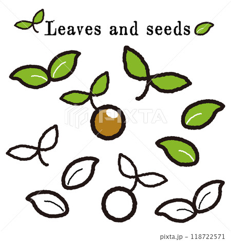 葉っぱと種のイラストセット 118722571