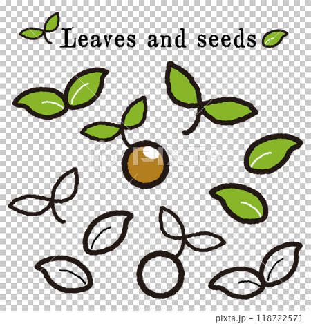 葉っぱと種のイラストセット 118722571