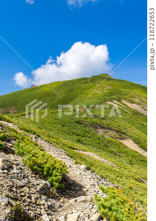 初夏の南アルプス小河内岳登山 小河内岳の山頂 初夏の南アルプス小河内岳登山 小河内岳の山頂 118722653
