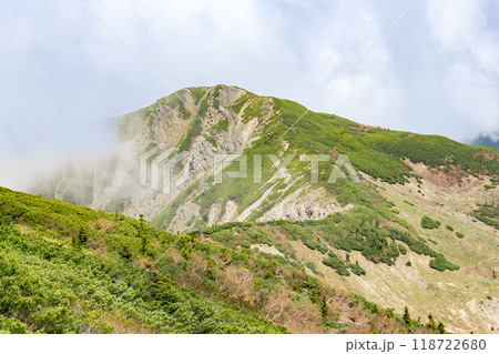 初夏の南アルプス小河内岳登山 前小河内岳 初夏の南アルプス小河内岳登山 前小河内岳 118722680