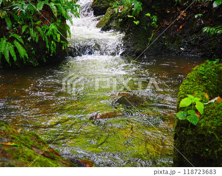穏やかな流れの川 118723683