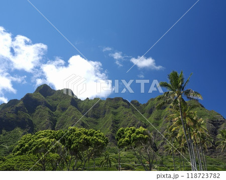 ハワイ オアフ島 コオラウ山脈 ハワイ オアフ島 コオラウ山脈 118723782