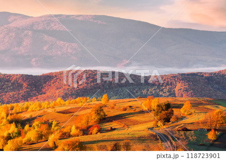 mountainous rural landscape in autumn at sunrise. fog in the valley. carpathian scenery countryside in morning light mountainous rural landscape in autumn at sunrise. fog in the valley. carpathian scenery countryside in morning light 118723901