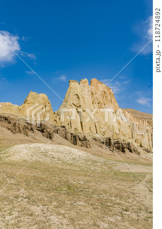 カザフスタンのマンギスタウのウスチュルト大地 118724892