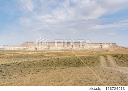 カザフスタンのマンギスタウのウスチュルト大地 118724918