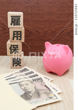 雇用保険のイメージ お金と貯金箱 雇用保険のイメージ お金と貯金箱 118725687