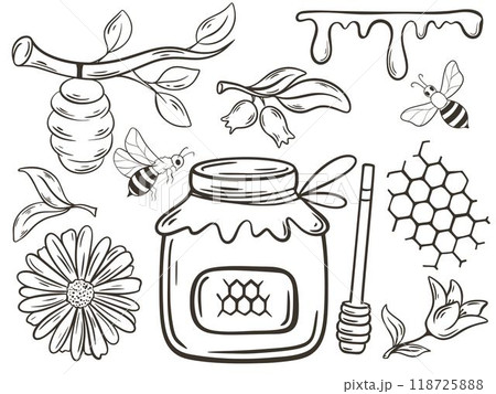 Hand drawn honey set in doodle style includes honey jar, beehive, honeycomb, propolis, flowers and bees Hand drawn honey set in doodle style includes honey jar, beehive, honeycomb, propolis, flowers and bees 118725888