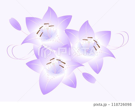 Floral background with a bouquet of lilies. 118726098