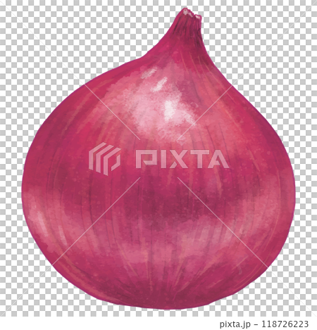 リアルな赤い玉ねぎ1個 118726223
