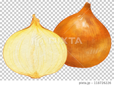 1顆半現實洋蔥 118726226