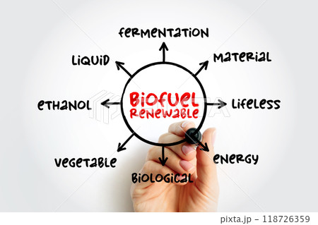 Biofuel renewable - derived entirely from plant-based organic materials, mind map concept for presentations and reports Biofuel renewable - derived entirely from plant-based organic materials, mind map concept for presentations and reports 118726359