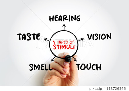 The 5 types of external stimuli - divided into our senses: touch, vision, smell and taste, mind map concept for presentations and reports with marker 118726366