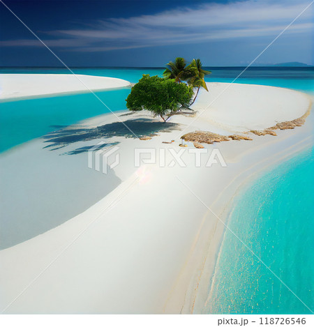 Maldives white sand beach and blue transparent ocean - AI generated image 118726546