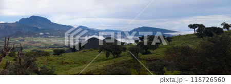 Panoramic view of the Plaine de Cafres in Reunion Island 118726560