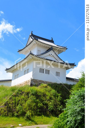 岡崎城 東隅櫓 118727618