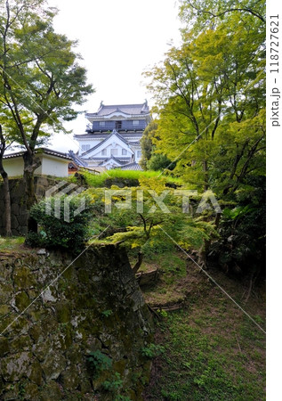 岡崎城 天守閣と清海堀 118727621
