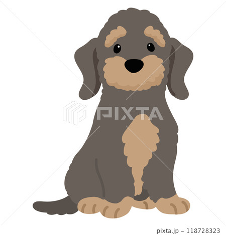 前を向いてお座りするワイヤーヘアードダックスフンド　主線なし 118728323