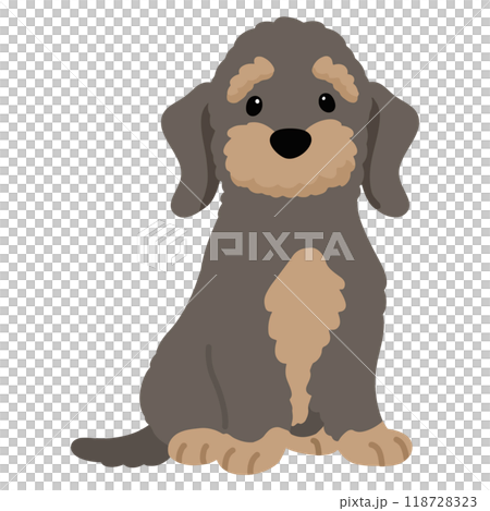 前を向いてお座りするワイヤーヘアードダックスフンド　主線なし 118728323