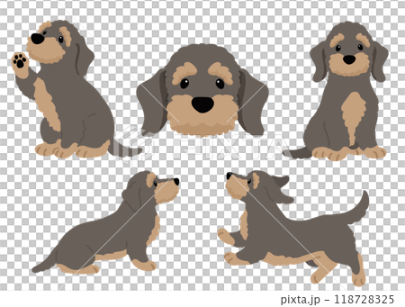 可愛いワイヤーヘアードダックスフンドのイラストセット 主線