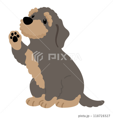 お手をするワイヤーヘアードダックスフンド　主線なし 118728327