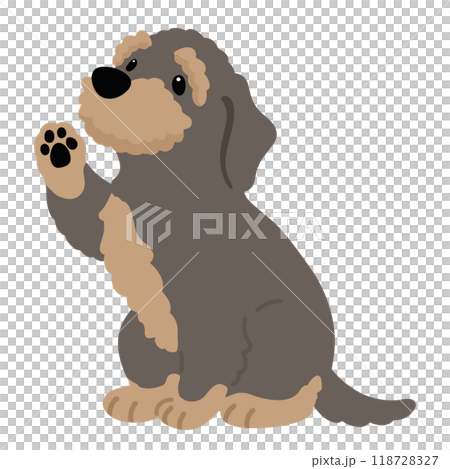 お手をするワイヤーヘアードダックスフンド　主線なし 118728327